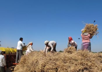 6 Ways Entrepreneurs Are Restoring Farms And Forests: The Land Accelerator South Asia
